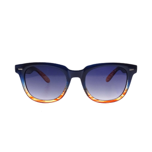 Moda de plástico vintage cuadrado Unisex Polarized Sunglasses LS-P495